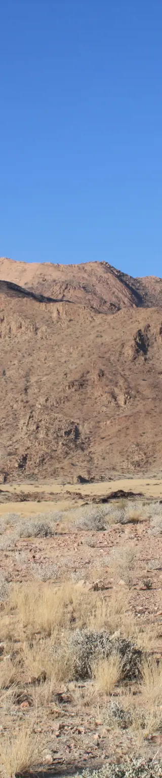 Felsmalereien aufspüren am Brandberg